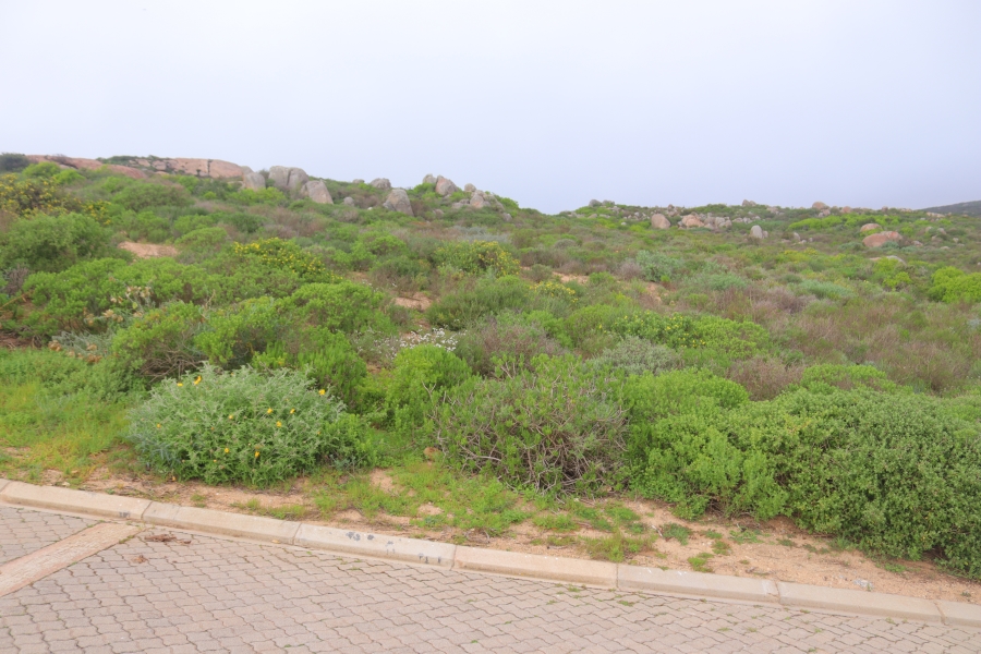 0 Bedroom Property for Sale in Steenbergs Cove Western Cape